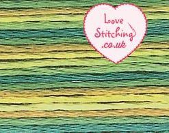 Anchor Stranded Cotton Skein