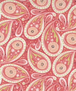 Moda Dandi Duo Patchwork Fabric by Robin Pickens