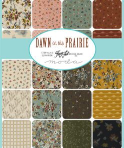 Moda Dawn on the Prairie by Stephanie Sliwinski Patchwork Fabric